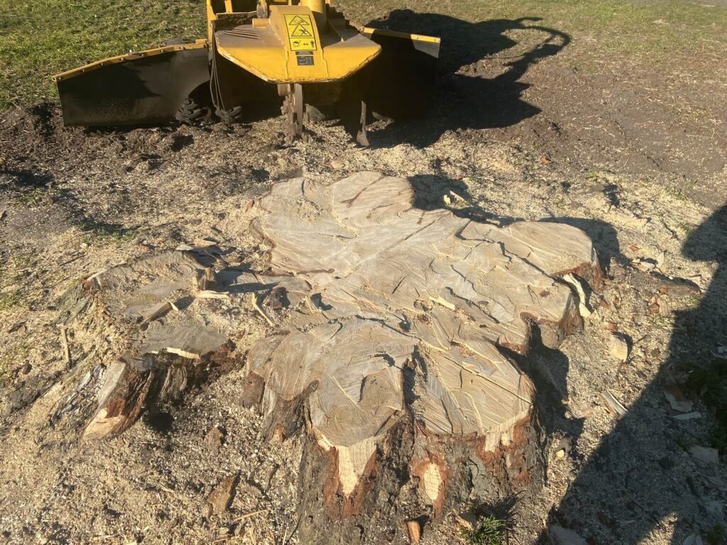 image00027 - - Blogindlæg - PN Skovservice