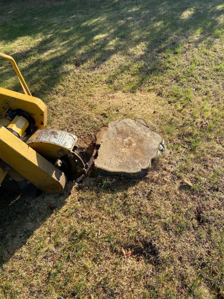 image00043 - - Blogindlæg - PN Skovservice