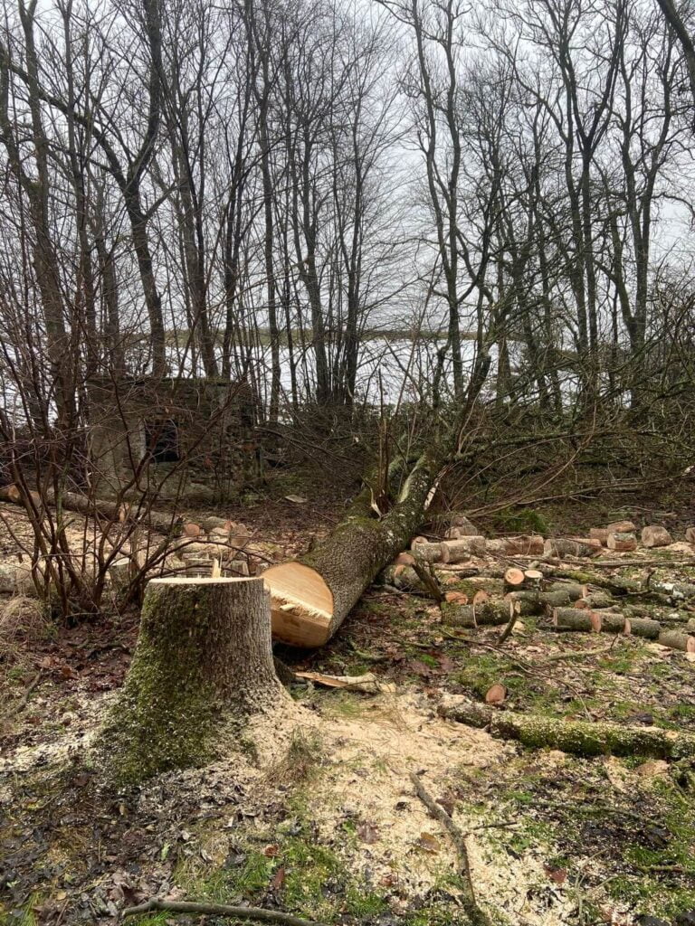 image00056 - - Blogindlæg - PN Skovservice